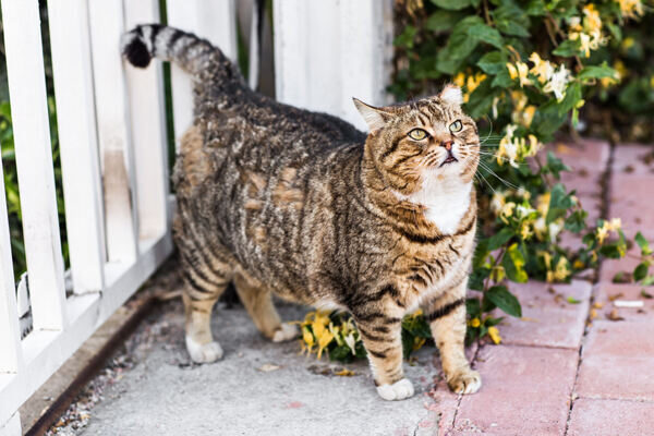 Futterberatung